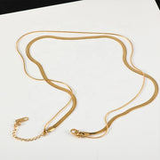 Two Layer Thin & Snake Chain Necklace